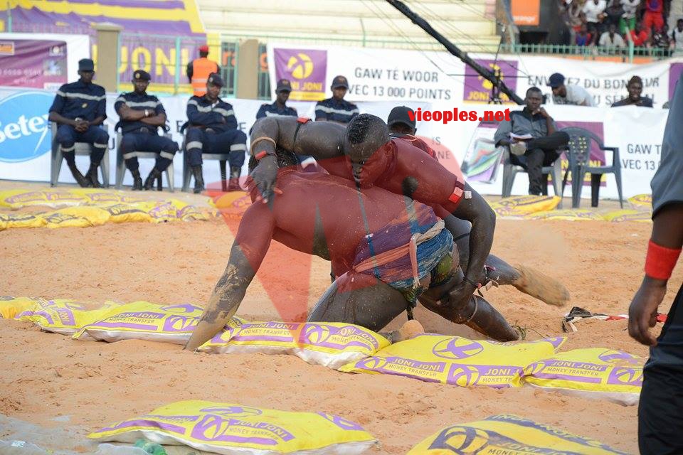 18624472_369235856805817_1979472623_n