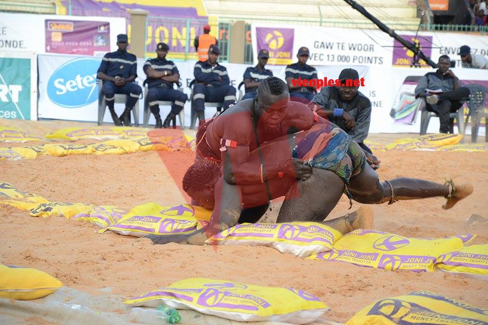 18643468_369236363472433_76580629_n