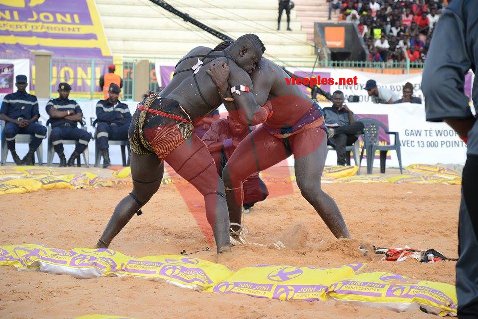 18624777_369237753472294_1133458726_n