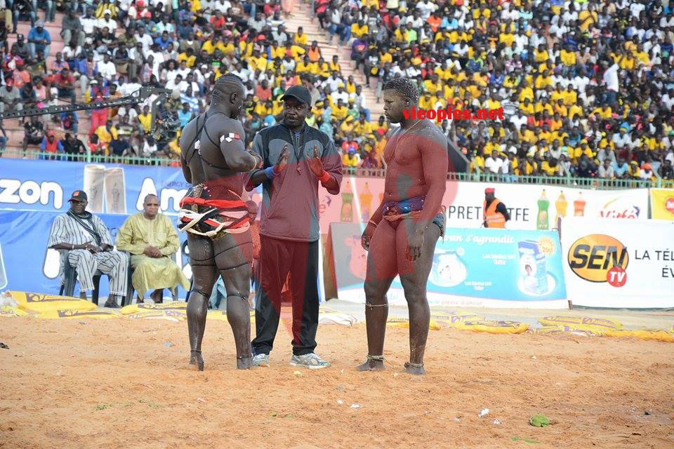 18643658_369239586805444_1740952052_n