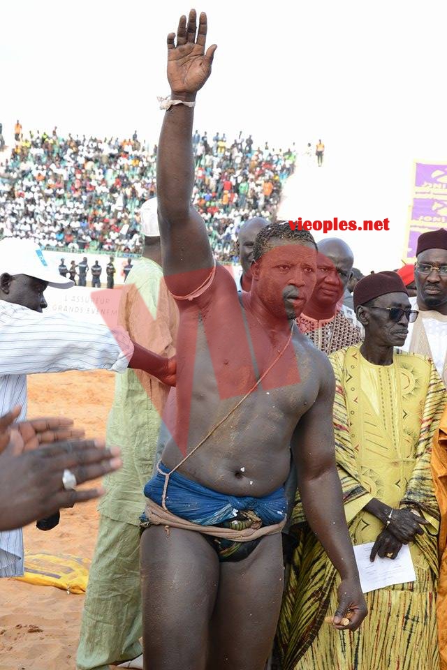 18622916_369239613472108_666734117_n