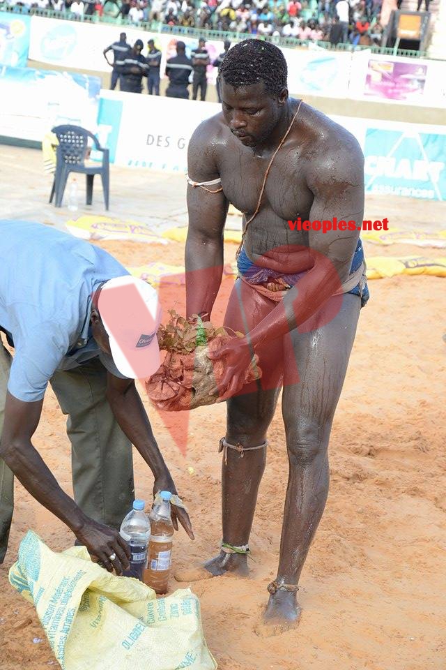 18624463_369239816805421_1139574478_n