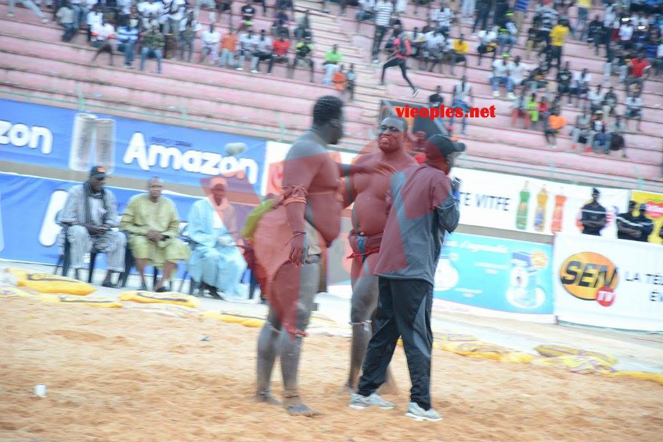 18622701_369211116808291_340702730_n