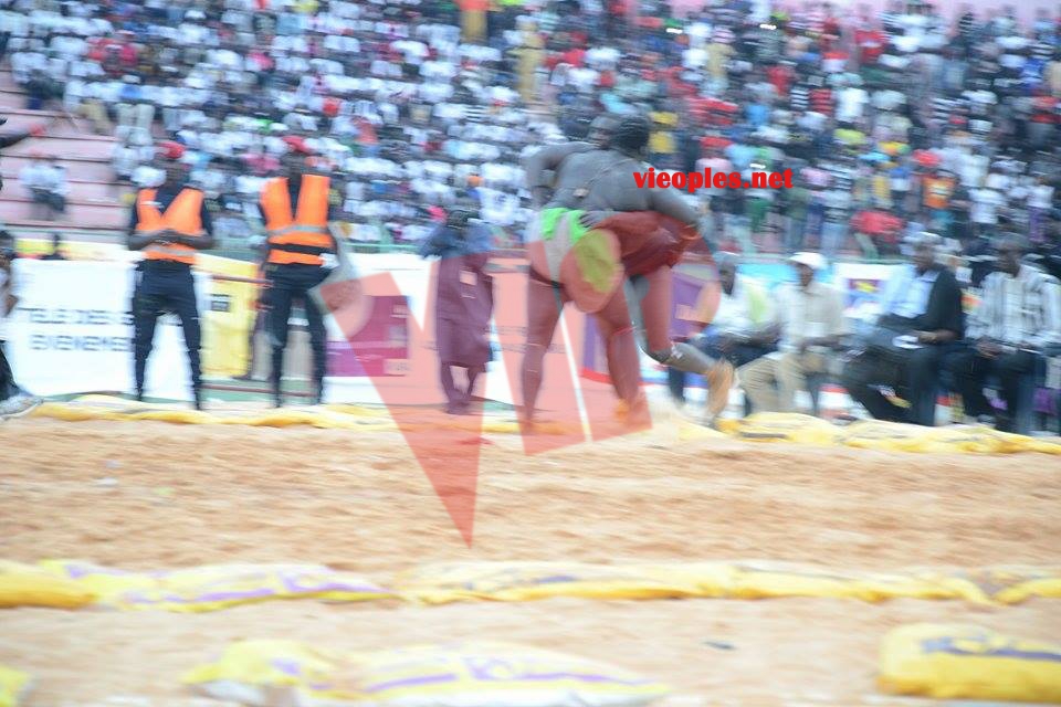 18643787_369228460139890_29946703_n