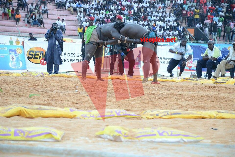 18623151_369228486806554_279087183_n