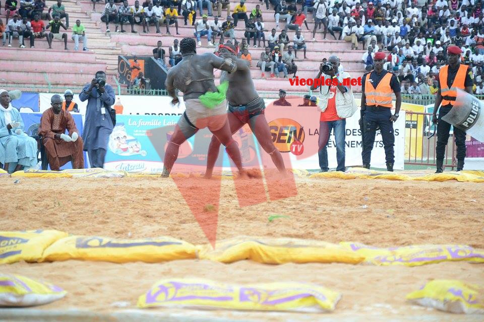 18624395_369228523473217_674836525_n