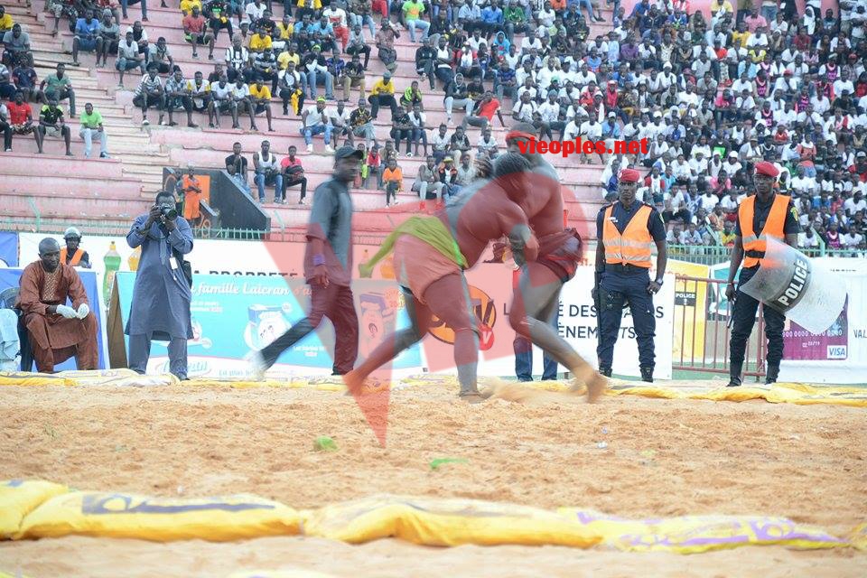 18622904_369228553473214_1603279946_n