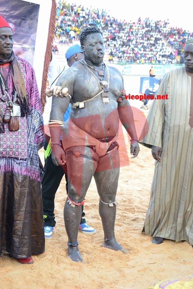 18601503_369229076806495_909199639_n