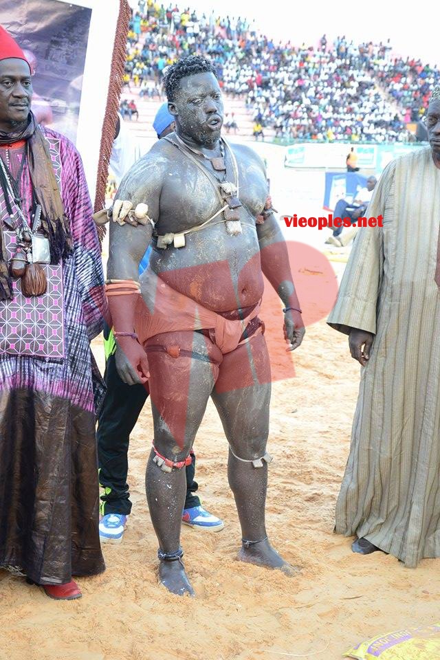 18623135_369229143473155_340981807_n