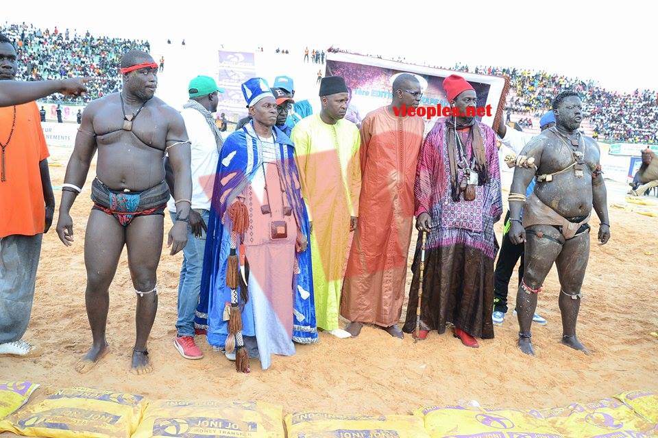 18622869_369229176806485_1960992882_n