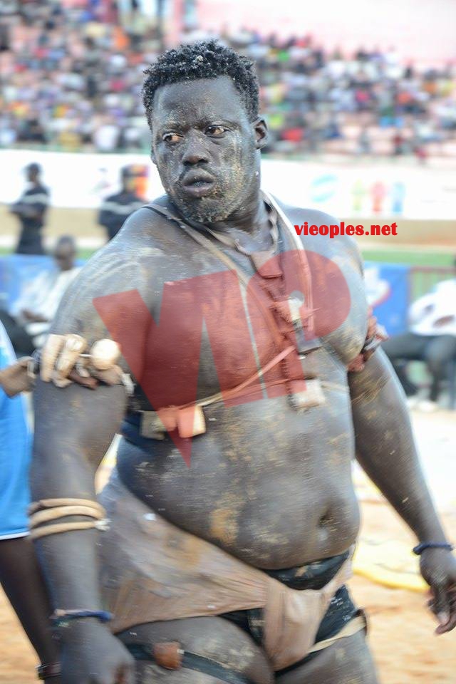 18622779_369229280139808_709897616_n