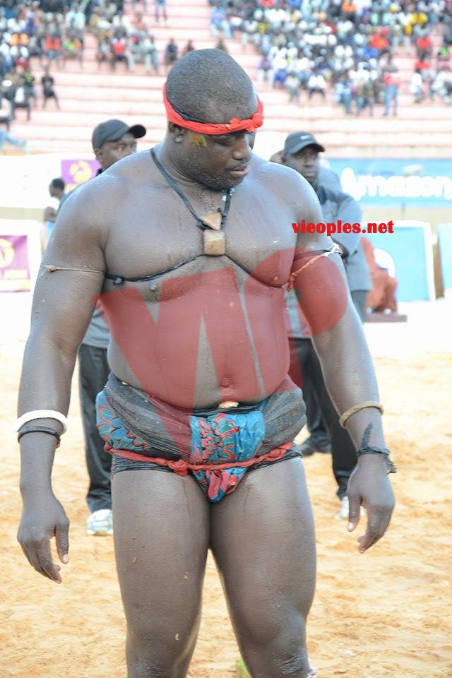 18601562_369229296806473_203362905_n