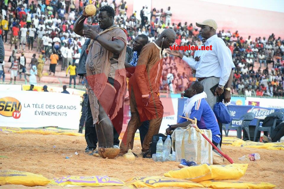 18622745_369230306806372_221890203_n