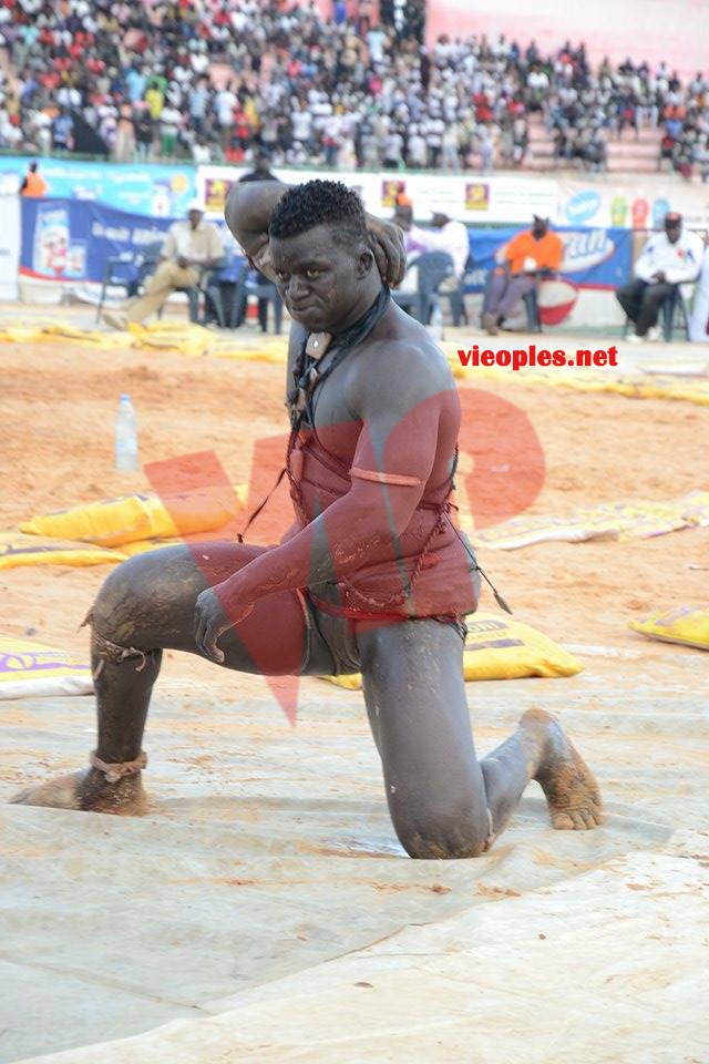 18601621_369230376806365_1540490178_n