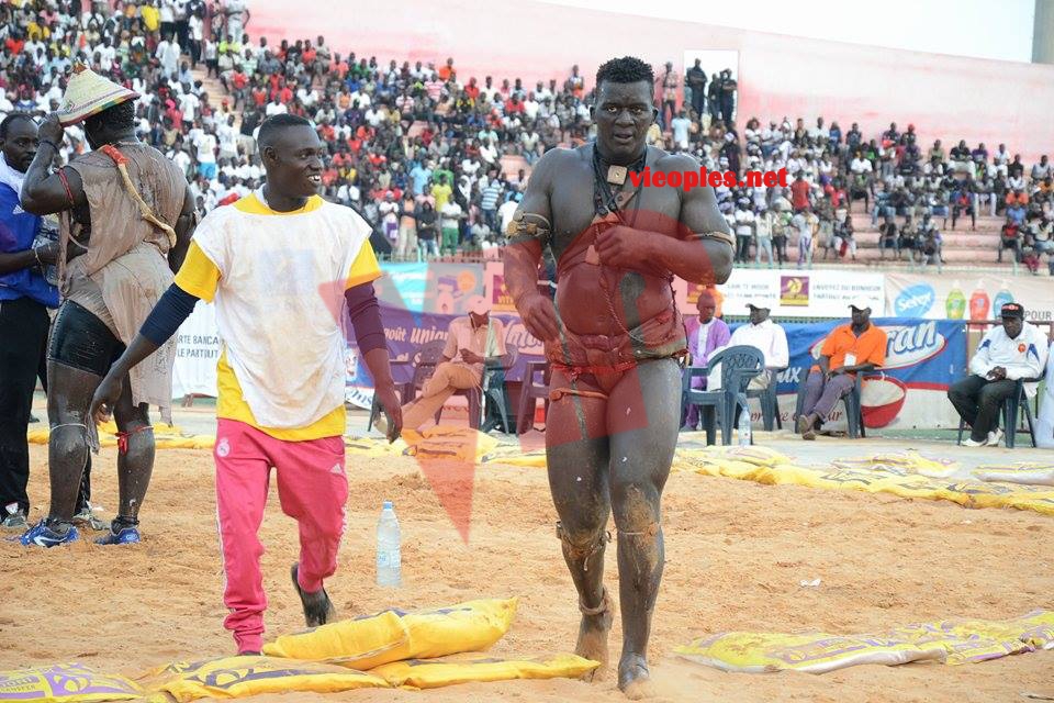 18622825_369230426806360_208910624_n