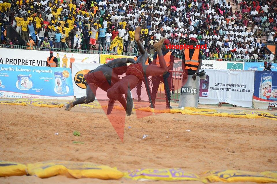 18622877_369230463473023_1421408579_n