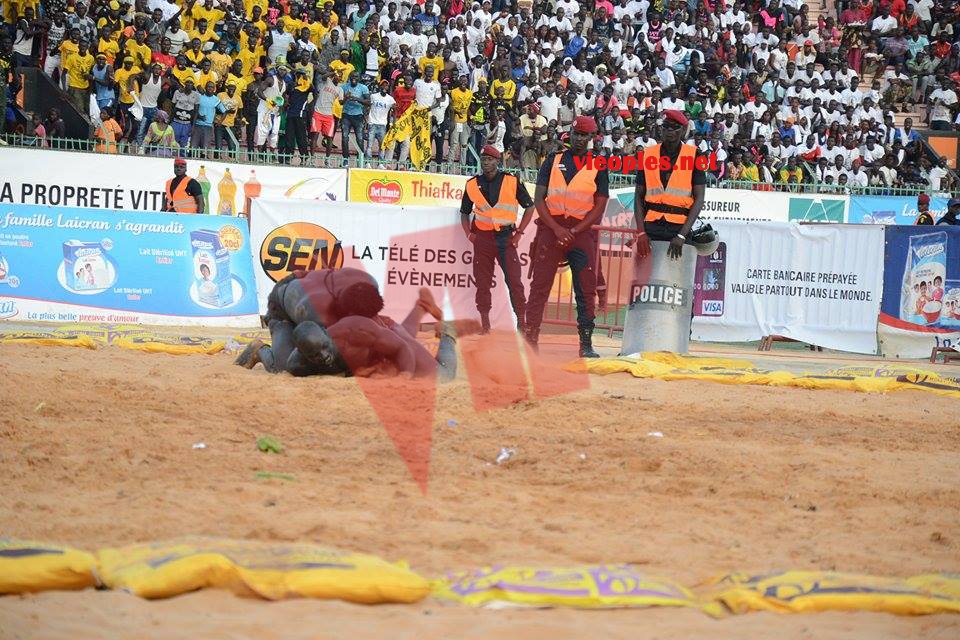 18622780_369230496806353_1335424921_n