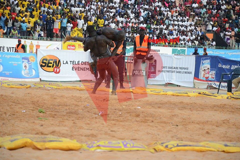 18601567_369230636806339_664237923_n