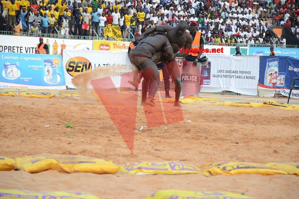 18622868_369230683473001_1045346543_n