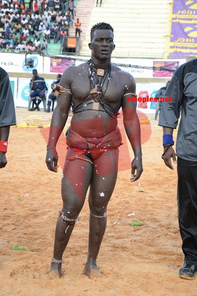 18622894_369230883472981_224222796_n