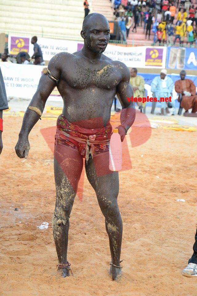 18622734_369230930139643_264988357_n