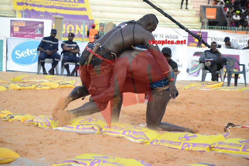 18622846_369236480139088_1558613397_n