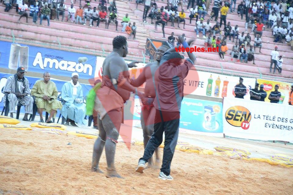 18678855_369210756808327_2063586777_n