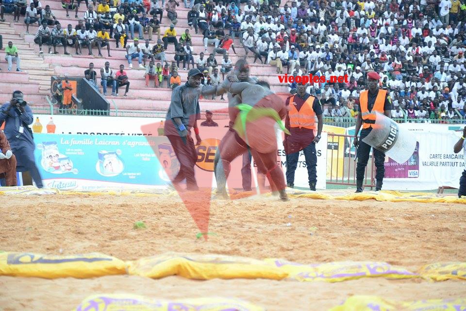 18644318_369228543473215_572227066_n