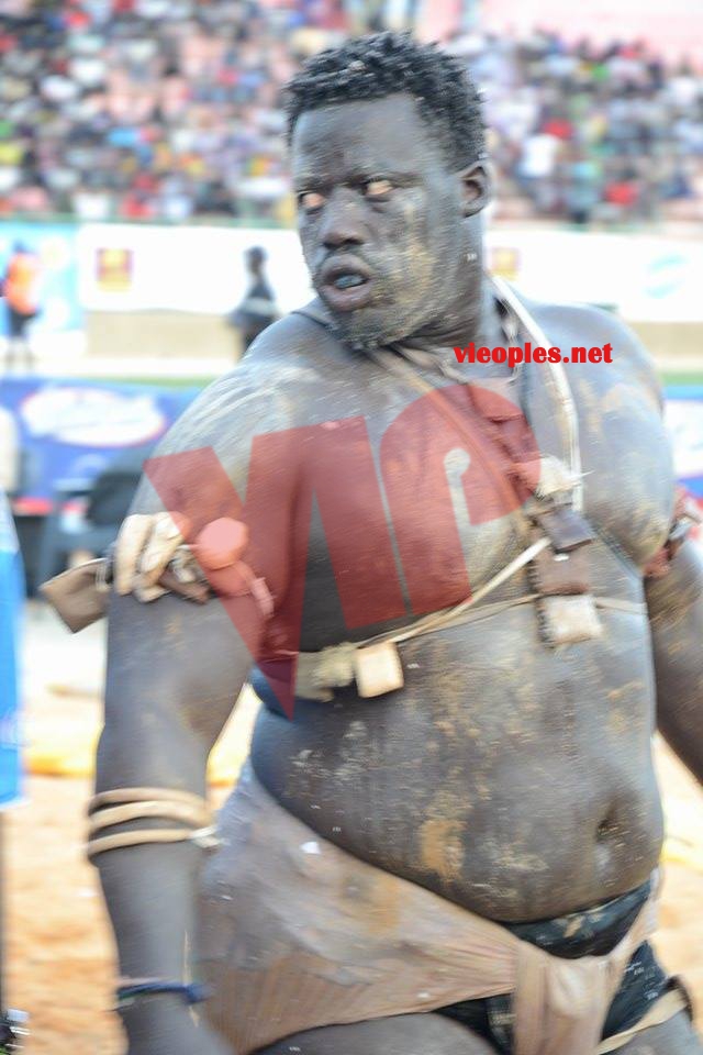 18685346_369229273473142_582834814_n