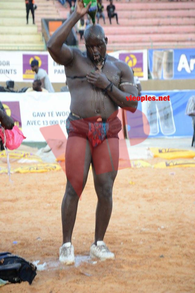 18644595_369229376806465_172535496_n