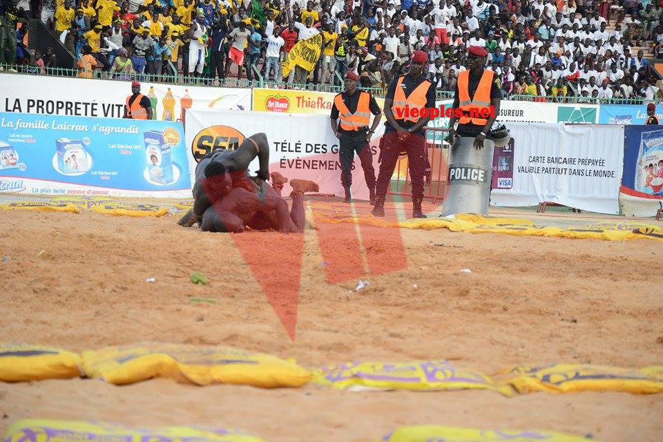 18678816_369230543473015_922955375_n