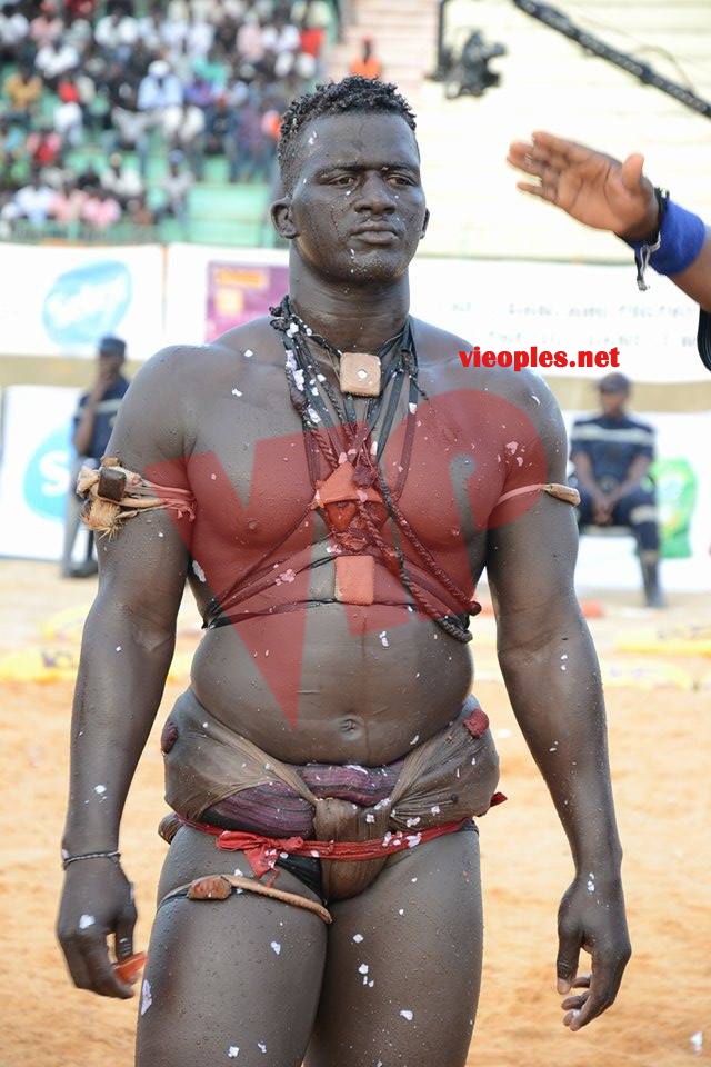 18685264_369230976806305_488691516_n