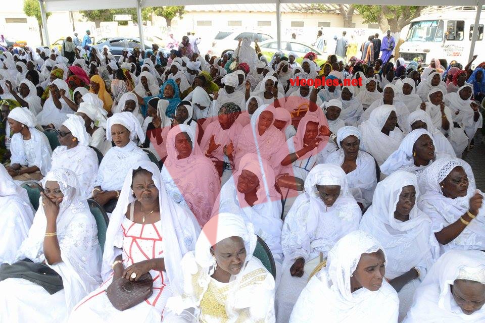 18788028_372230686506334_801817885_n