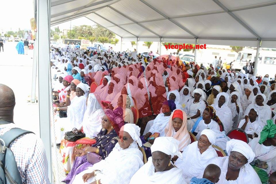 18762634_372230706506332_1165227539_n