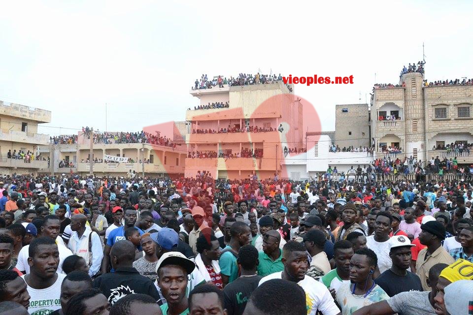 19866460_392695627793173_1091399898_n