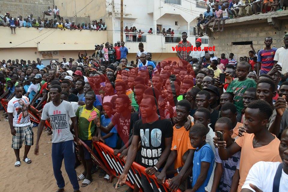 19987350_392697437792992_72677875_n