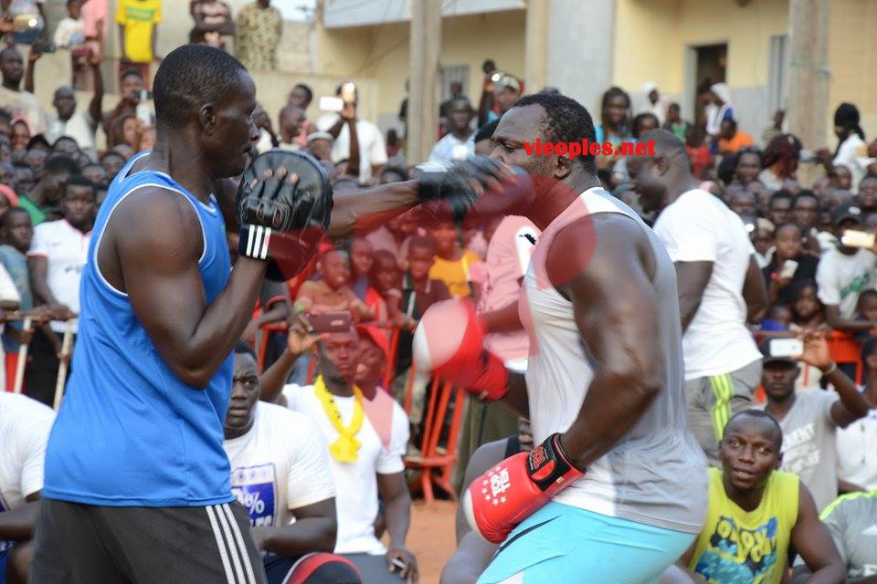 19987280_392697721126297_644500809_n