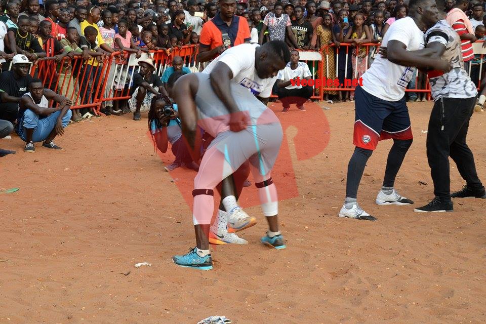 19987365_392697931126276_908016535_n