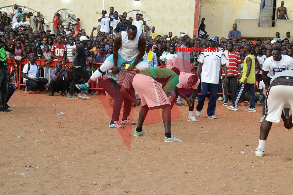 19987672_392698054459597_1190430706_n