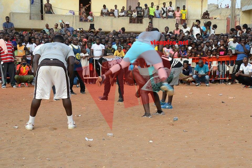 19970577_392698124459590_707935990_n