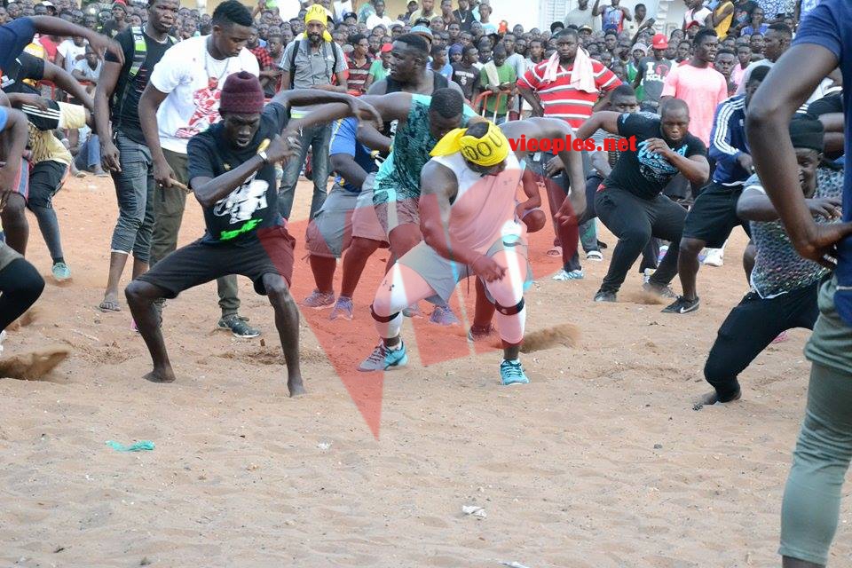 19988886_392696101126459_1634478960_n