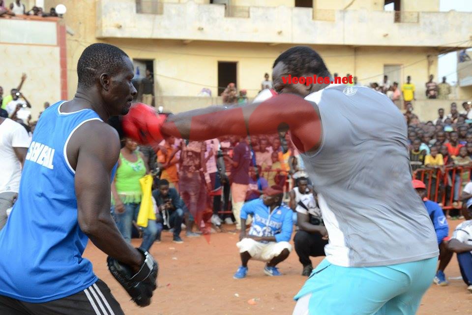 19987675_392697771126292_1366580946_n