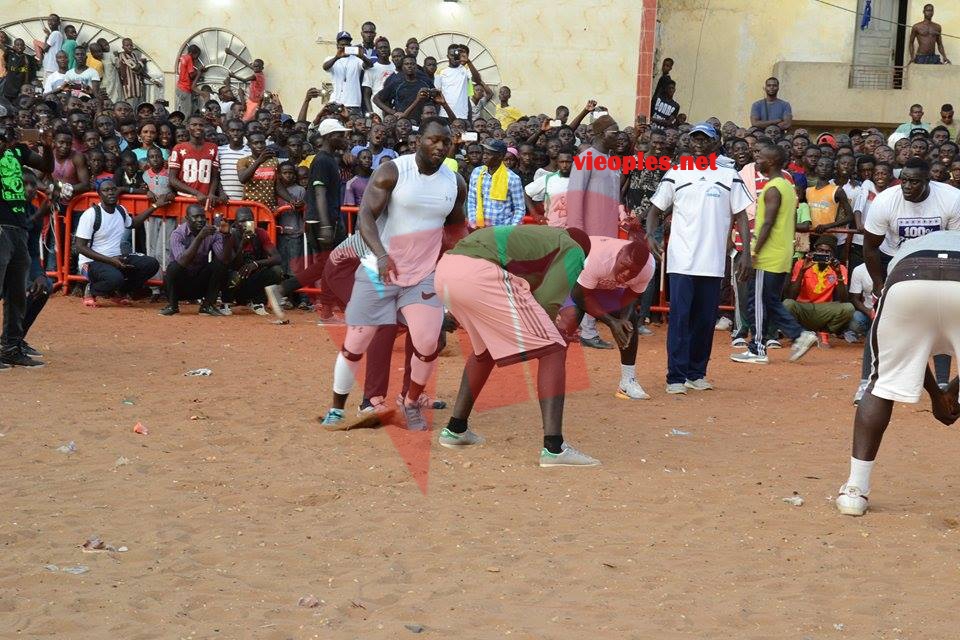 19988808_392698017792934_1226529419_n