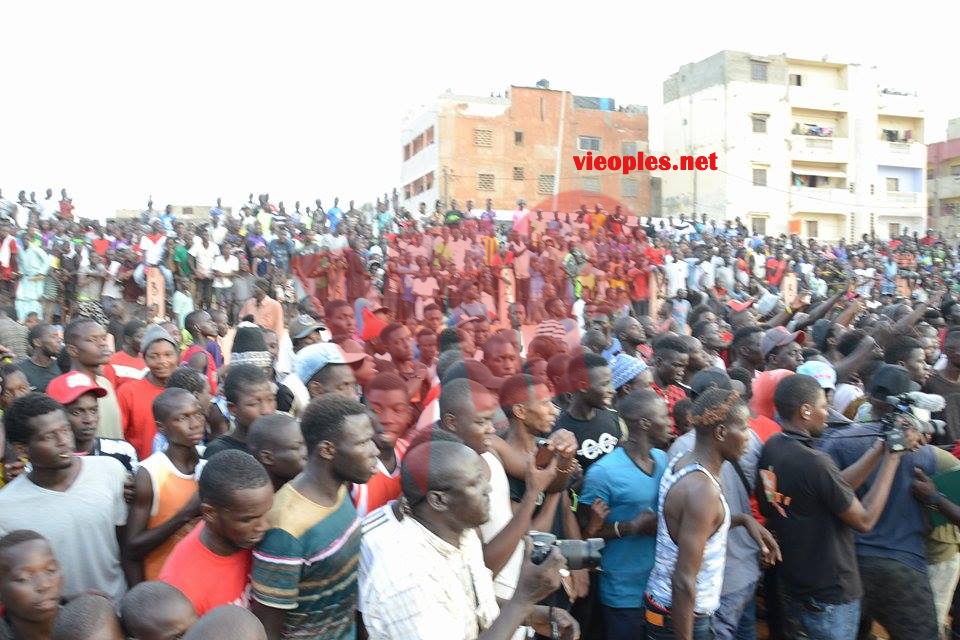 19987445_393152841080785_826859554_n