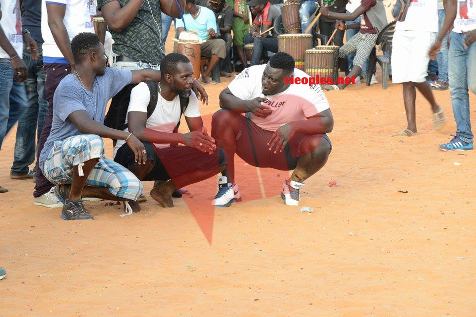 19987686_393153511080718_1859410135_n