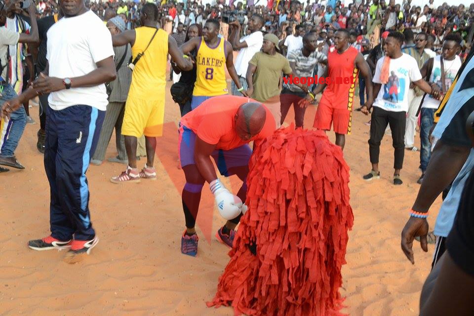 19989124_393153697747366_710850047_n