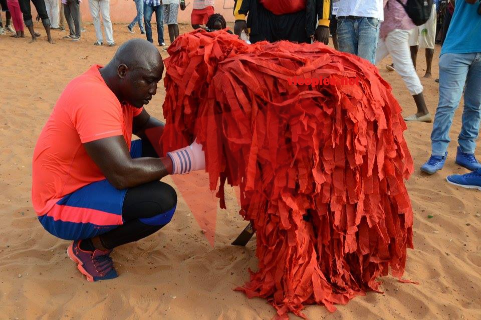 20120826_393153561080713_1882708607_n