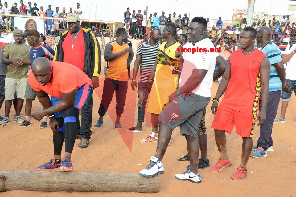 19904724_393153777747358_2039832879_n