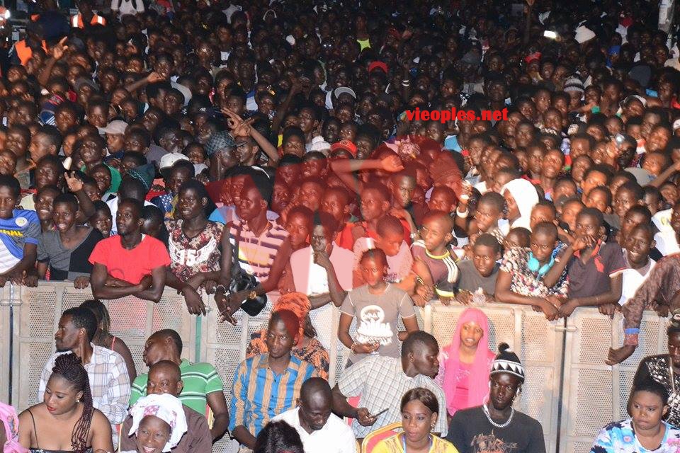 20864665_407669512962451_4972977_n