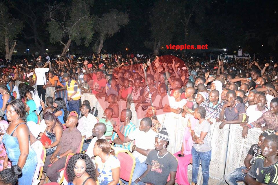 20864194_407669582962444_1210743463_n